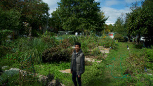 C&oacute;mo reducen su huella de carbono los estadounidenses preocupados por el clima