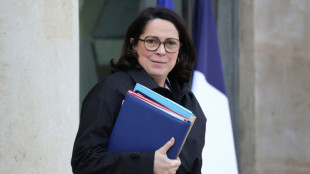 Francia califica de "paso atr&aacute;s" el nuevo test de feminidad del COI