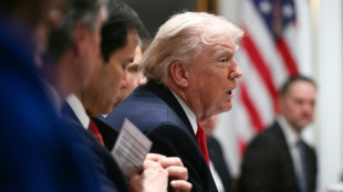 Streit um ICE-Eins&auml;tze: Trump will neue Haushaltssperre abwenden