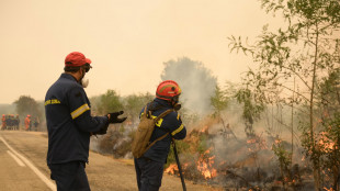 Emergenza incendi in Albania, nel sud evacuati anche turisti