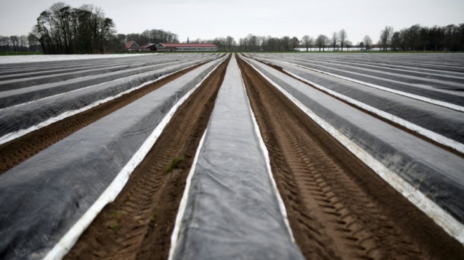 Landwirtschaft: 28 Prozent der Arbeitskr&auml;fte sind Saisonarbeiter 