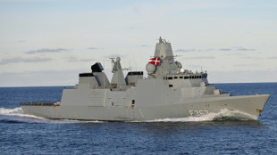 Un ciberataque afecta a sitios del gobierno y de la defensa de Dinamarca