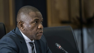 Vorw&uuml;rfe gegen Politiker: Justizkommission in S&uuml;dafrika beginnt mit Anh&ouml;rungen 