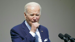 &iquest;Qu&eacute; son las armas "fantasma"?