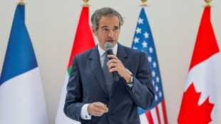 Excluir la energ&iacute;a nuclear del combate clim&aacute;tico es "un error", dice Grossi