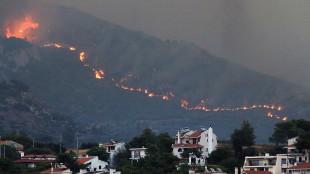 Incendi estremi sempre pi&ugrave; frequenti e intensi entro il 2100