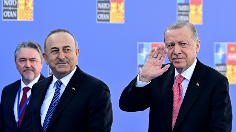 Turqu&iacute;a reclama extradiciones a Finlandia y Suecia tras acuerdo sobre OTAN