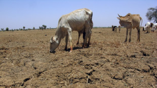 Espa&ntilde;a y Senegal crean una alianza internacional contra la sequ&iacute;a en la COP27