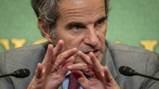 L'AIEA plaide pour une v&eacute;rification nucl&eacute;aire "tr&egrave;s pouss&eacute;e" en Iran