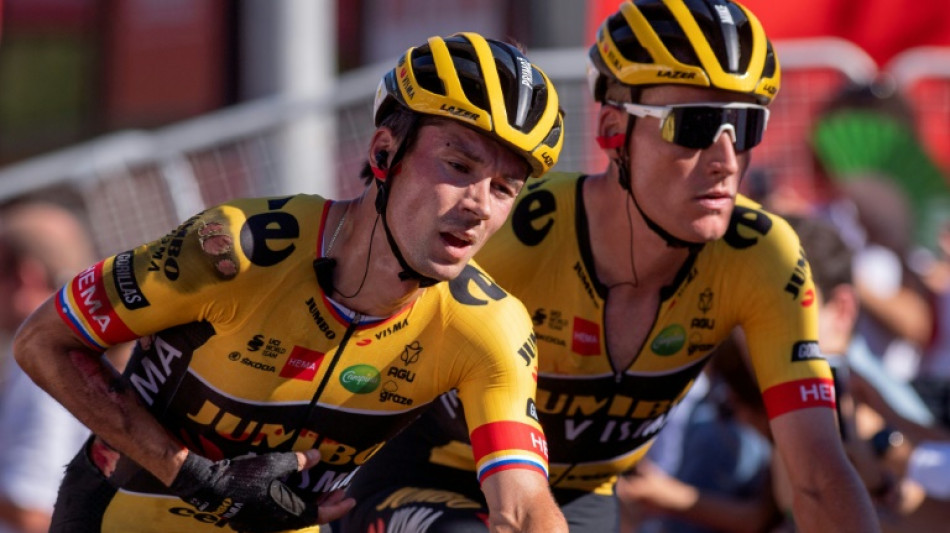 Roglic abandona la Vuelta tras su ca&iacute;da del martes