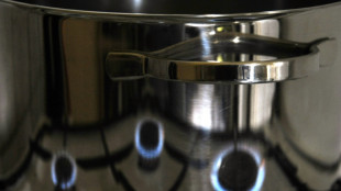 Familienstreit wegen &Uuml;berwachung von K&uuml;che k&ouml;nnte vor Europ&auml;ischem Gerichtshof landen