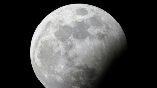 Unos cient&iacute;ficos habr&iacute;an encontrado evidencias del choque planetario que form&oacute; la Luna