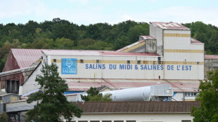 Le très long chemin pour relancer l'activité minière en France et en Europe