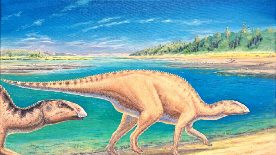 Identifican a "Gonkoken nanoi", dinosaurio con pico de pato que habit&oacute; la Patagonia chilena