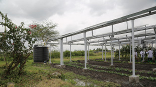 Da Mediocredito Centrale oltre 2milioni a Cogefeed per l'agrivoltaico