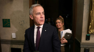 Canada: le Parlement adopte de justesse le budget, le gouvernement Carney survit
