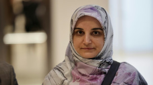 Iranian in possible France prisoner swap jailed for a year