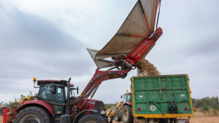 Revisan al alza el crecimiento de la econom&iacute;a espa&ntilde;ola en 2024, hasta el 3,5%