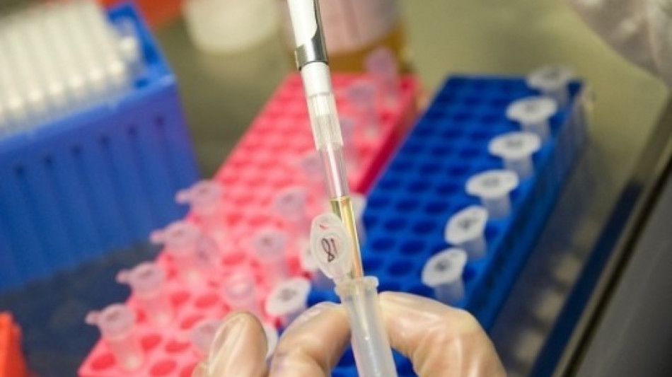 Cellule tumorali camuffate da zombie per sfuggire alla chemioterapia