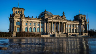 El Parlamento alem&aacute;n bloquea la entrada a siete empleados por presuntos v&iacute;nculos con la extrema derecha