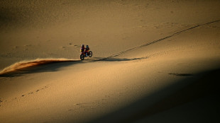 Variawa leads South African charge over Dakar dunes