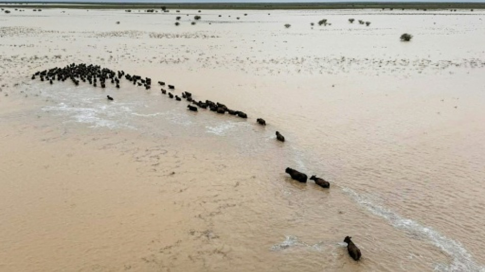 Australian PM to tour outback flood disaster zone