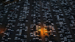 China will Ausnahmen bei Exportverbot f&uuml;r Nexperia-Chips machen