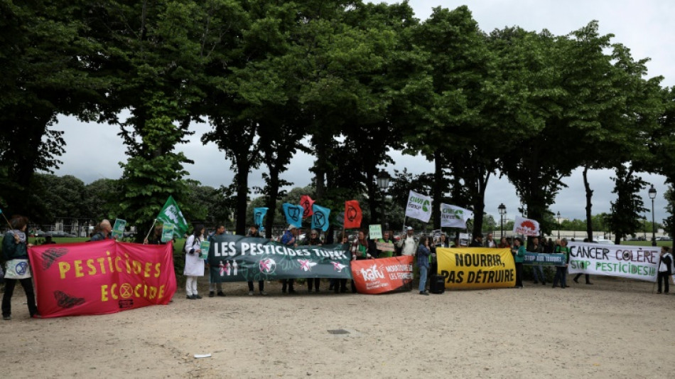 "Pas tous" pour la loi "Duplomb": des paysans et militants manifestent &agrave; Paris