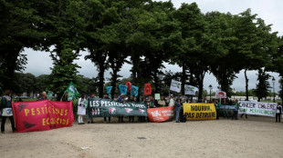 "Pas tous" pour la loi "Duplomb": des paysans et militants manifestent &agrave; Paris