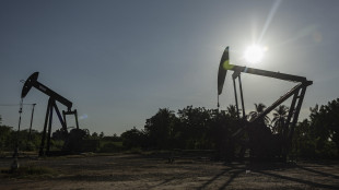 Unem, consumi petroliferi in calo del 3% nel 2025