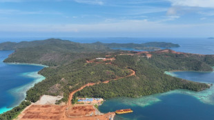 La explotaci&oacute;n de n&iacute;quel amenaza una importante reserva de biodiversidad marina en Indonesia