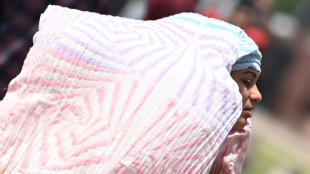 &quot;De plus en plus chaud&quot; : une partie de l&#039;Asie &eacute;cras&eacute;e par la chaleur