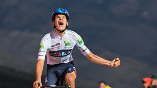 Italy's Pellizzari scorches to Vuelta stage 17 honours