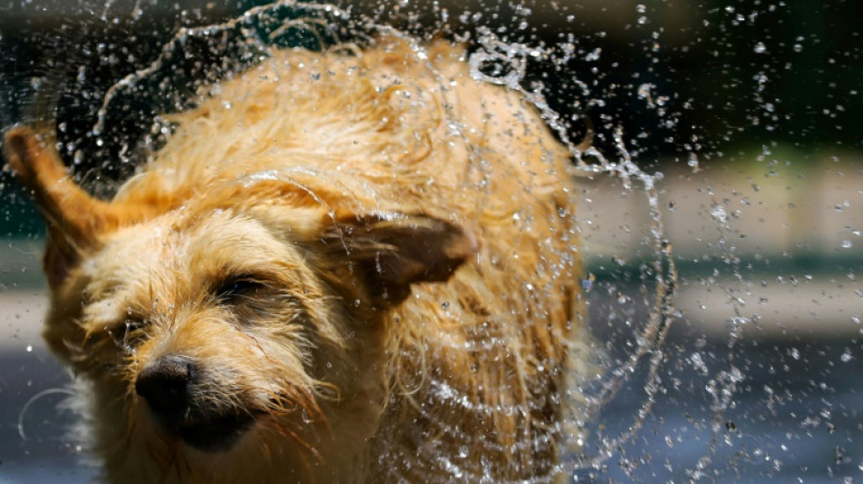 El a&ntilde;o 2023 se confirma como el m&aacute;s c&aacute;lido de la historia