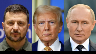 Europeus pedem inclusão de Kiev em negociações com Moscou antes da cúpula Trump-Putin