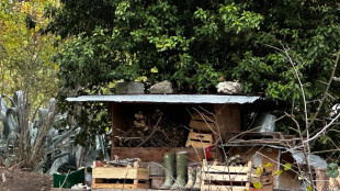 Famiglia bosco, genitori convocati giovedì in Tribunale