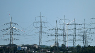 Erste Daten: Stromnetzentgelte f&uuml;r Endkunden sinken zum Jahreswechsel deutlich