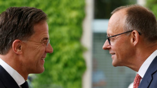 Merz empf&auml;ngt Nato-Generalsekret&auml;r Rutte in Berlin