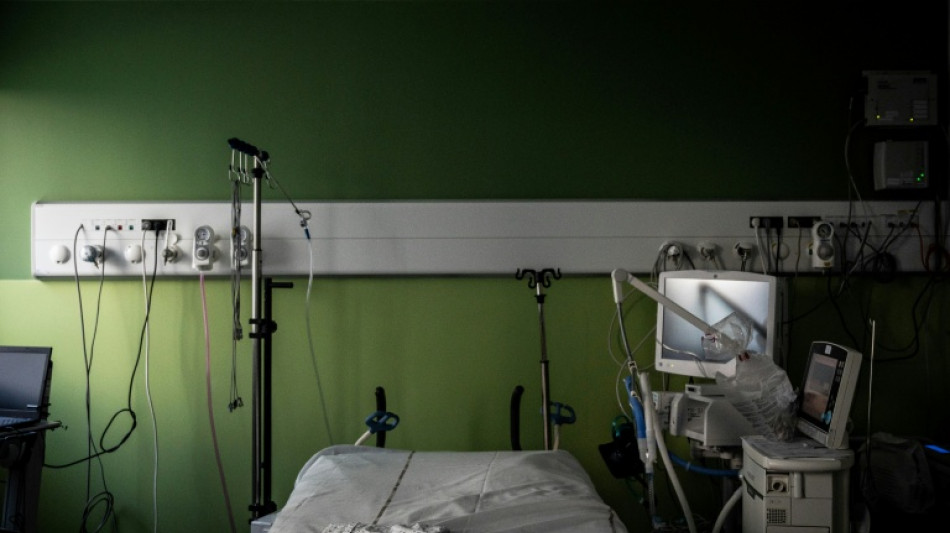 Francia reporta el primer caso de virus Shamonda en humanos y descarta un riesgo general