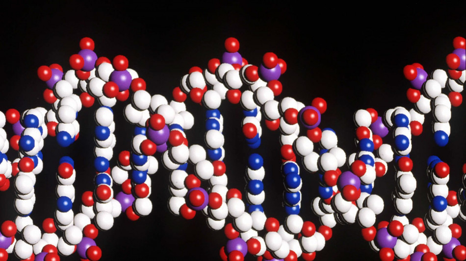 Nuova tecnica per analizzare il Dna, legge anche sezioni finora escluse