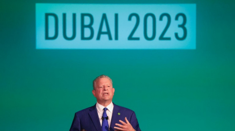Quand Al Gore &eacute;pingle les Emirats, h&ocirc;tes de la COP28, pour leur bilan carbone