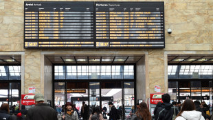 >>>ANSA/Stop dei treni ad ottobre,l'autorità accende un faro