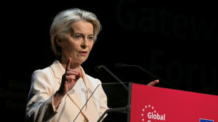 EU woos developing nations at investment forum