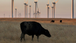 Pre&ccedil;o da carne vermelha dispara nos EUA devido &agrave; escassez de gado