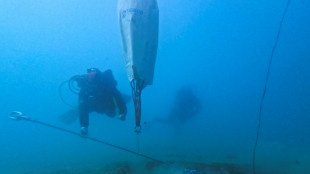 Greece hopes eco moorings will protect vital seagrass colonies