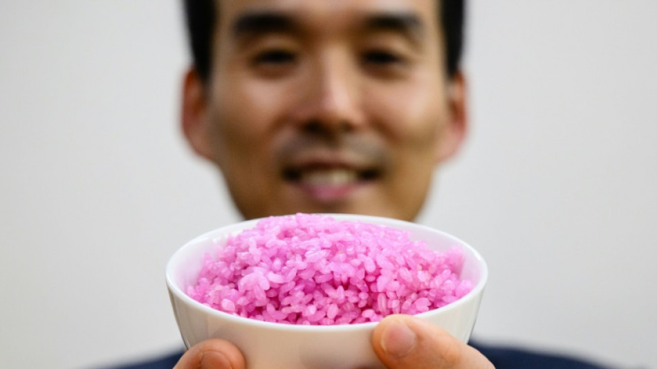 Cient&iacute;ficos surcoreanos crean "arroz carnoso" con alto contenido de prote&iacute;nas