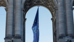 Los pa&iacute;ses de la UE validan, con cambios, la ley sobre la responsabilidad de las empresas