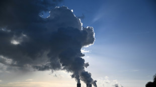 Paris s&#039;inqui&egrave;te d&#039;une relance du charbon en Allemagne