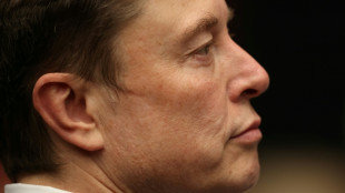 Elon Musk lance Grokipedia pour concurrencer Wikip&eacute;dia qu'il juge orient&eacute; &agrave; gauche