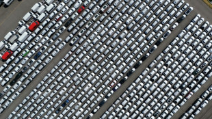 Assouplir l'objectif 2035, une r&eacute;ponse "pragmatique" aux difficult&eacute;s de l'industrie automobile, d&eacute;clare S&eacute;journ&eacute; &agrave; l'AFP